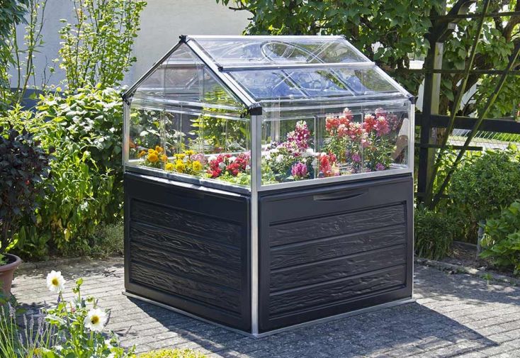 Mini Serre de Jardin en Aluminium et Polycarbonate Plant Inn (118 x 118 cm)  - Canopia