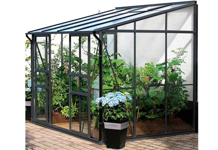 Serre de jardin adossée en verre Lams 4,9 m² - Melissa anthracite