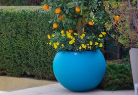 Pot de fleurs bleu Miléo 1200