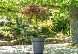 Pot de fleurs rond en polyéthylène haute densité PAPI