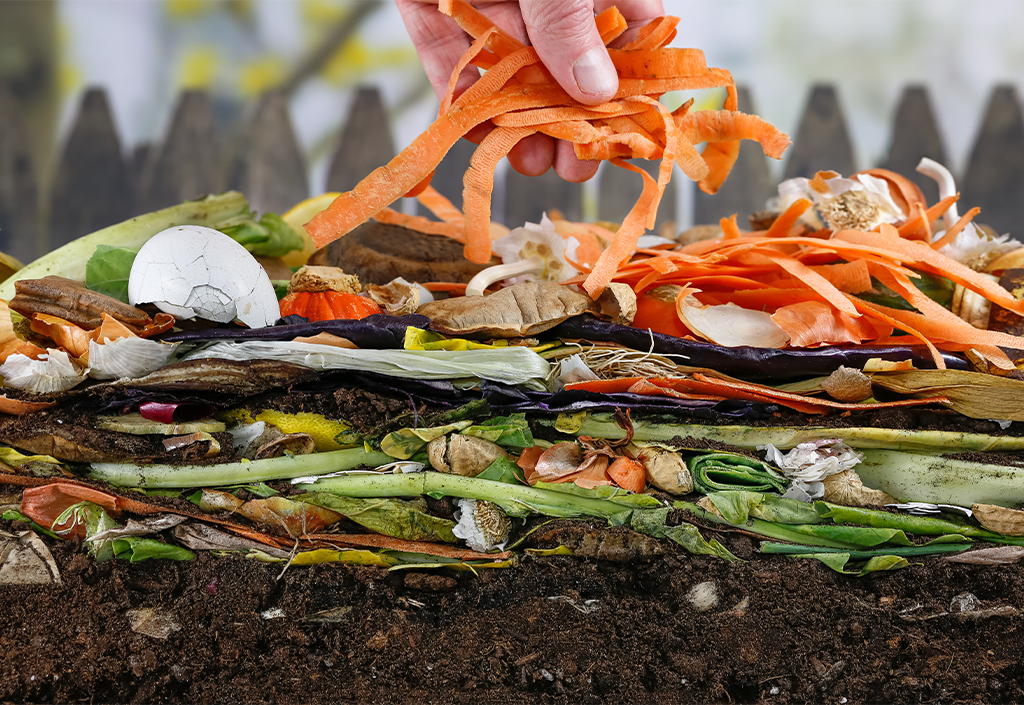 Vos déchets de table dans un bac à compost pour enrichir vos plantes -  Enerzine